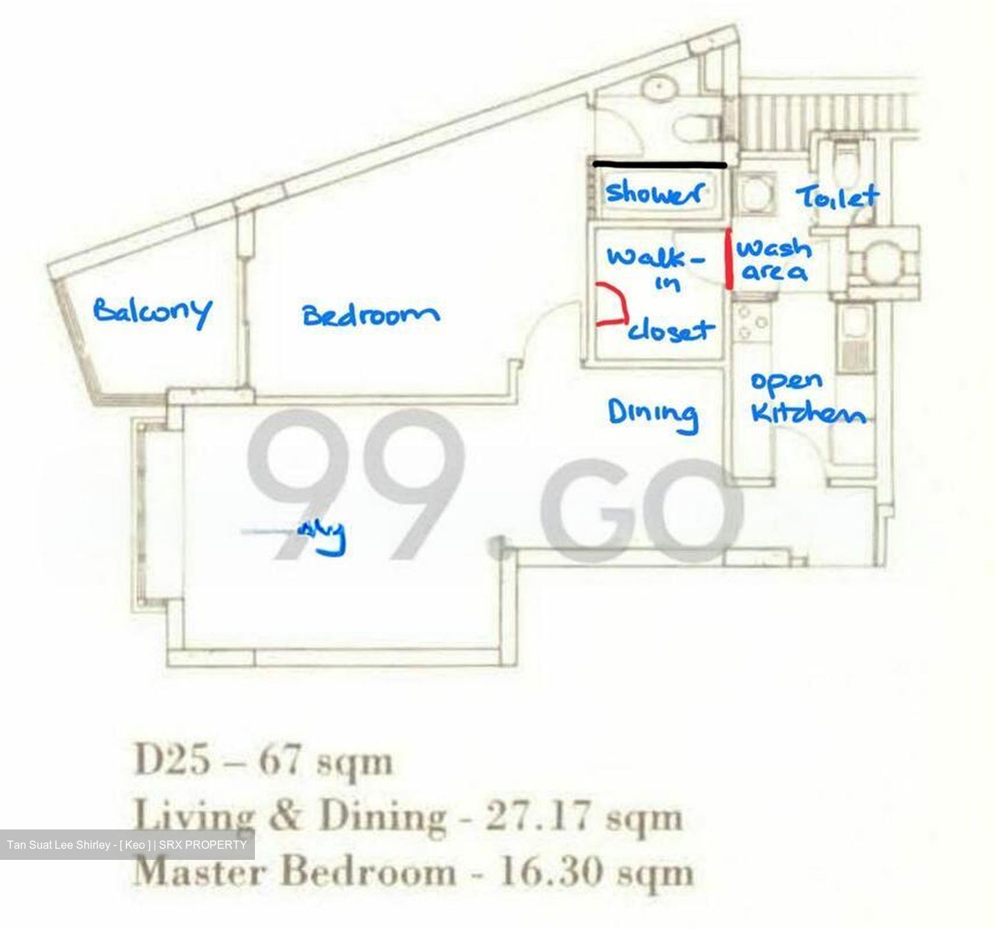 Nineteen Shelford Road (D11), Condominium #519004191